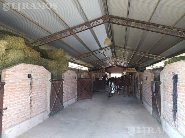 place photo 27