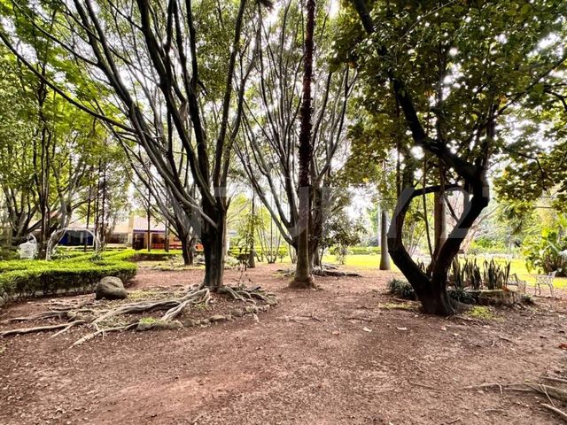 place photo 52