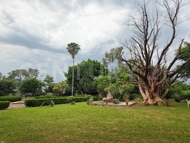 place photo 68