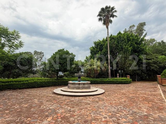 place photo 63