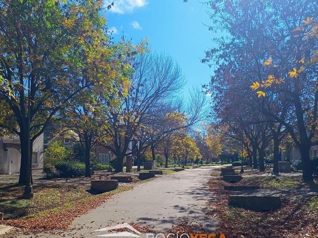 place photo 41