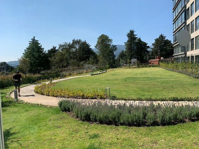place photo 28