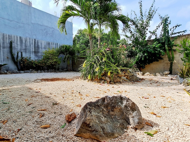 place photo 11