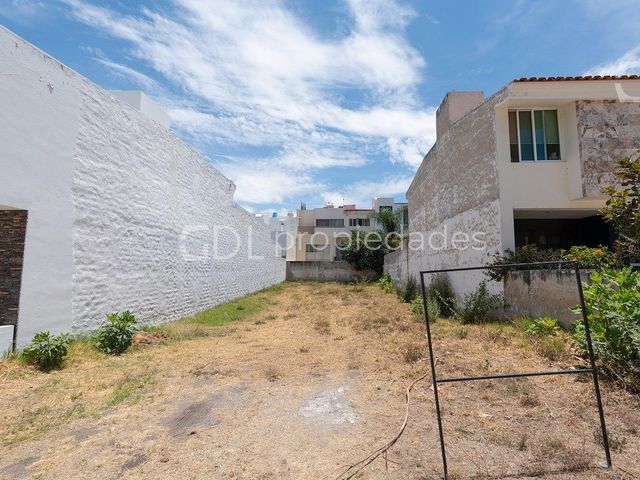 place photo 22