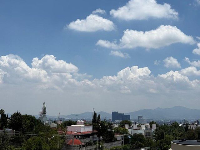 place photo 31