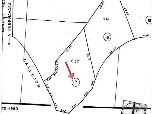 place photo 29