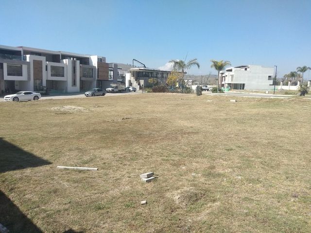 place photo 18