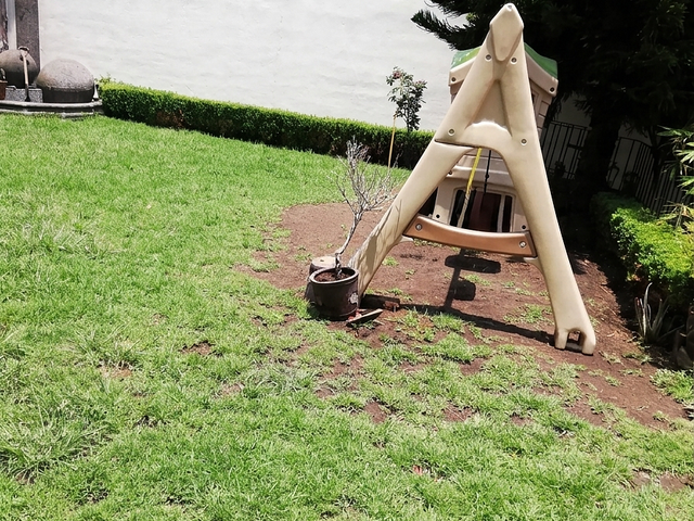 place photo 19