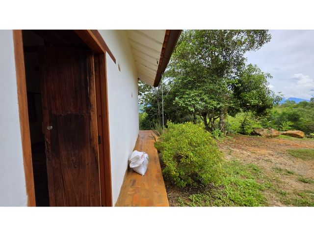place photo 45