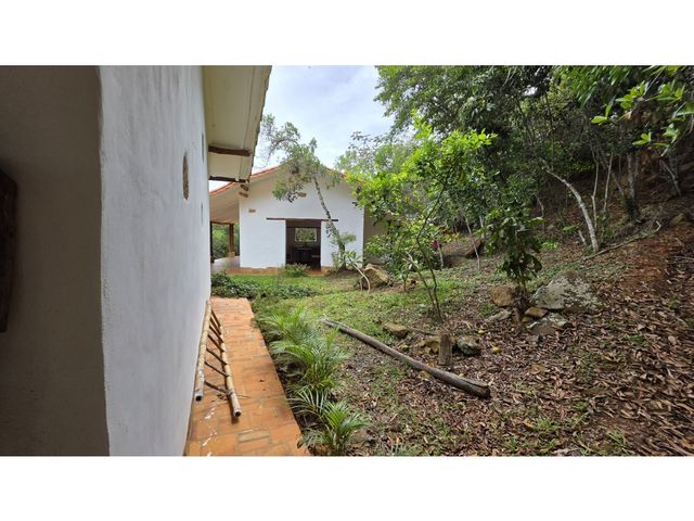 place photo 47