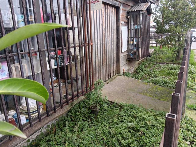 place photo 14
