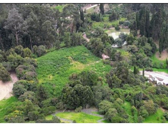place photo 46