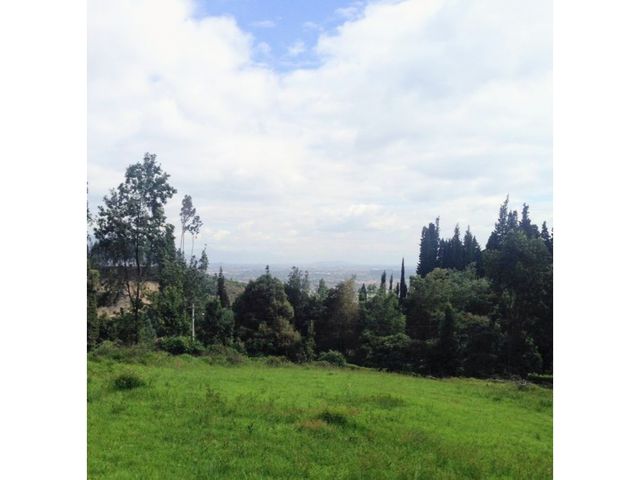 place photo 47