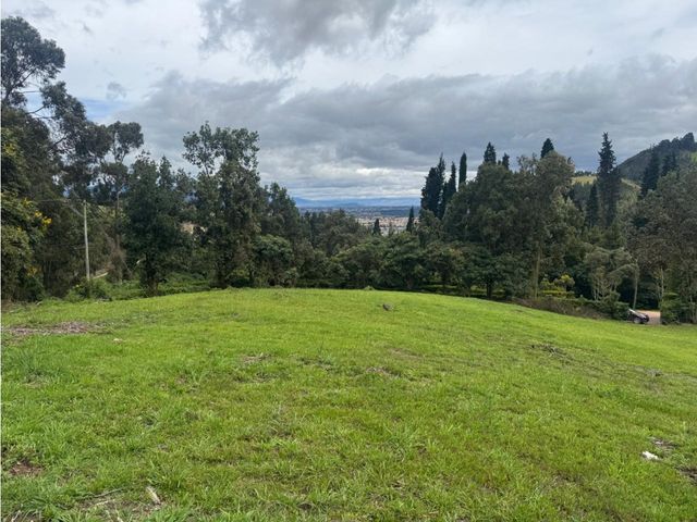 place photo 49