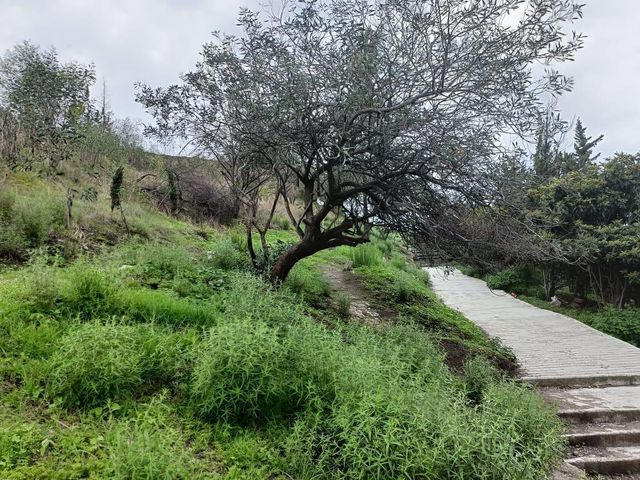 place photo 18