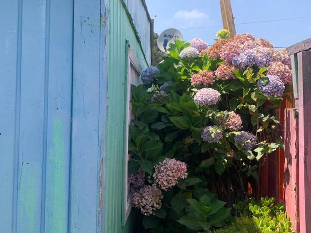 place photo 20