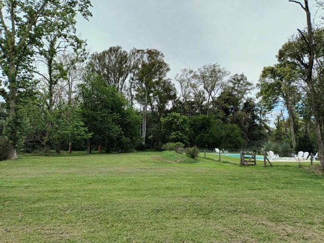 place photo 43