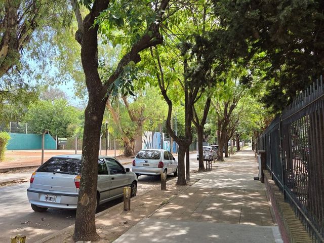 place photo 23