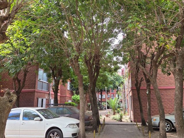 place photo 24