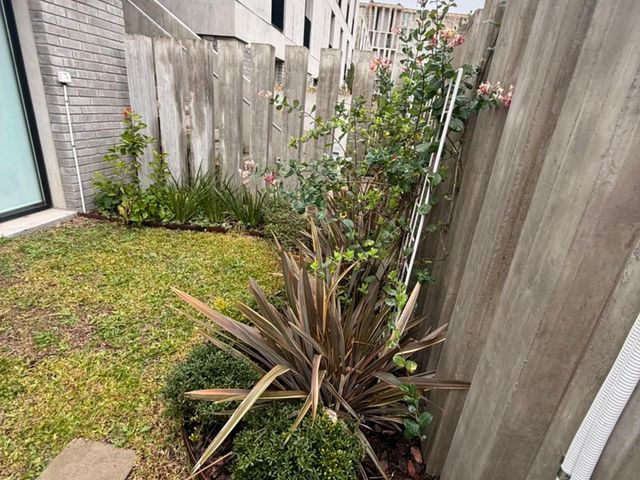place photo 44