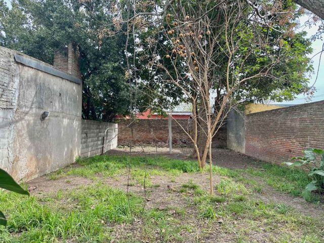 place photo 19