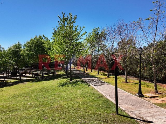 place photo 61