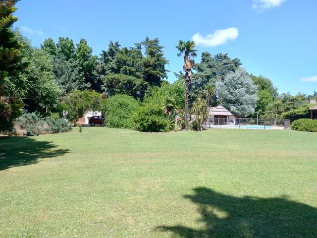 place photo 38