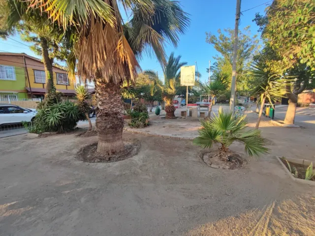 place photo 26