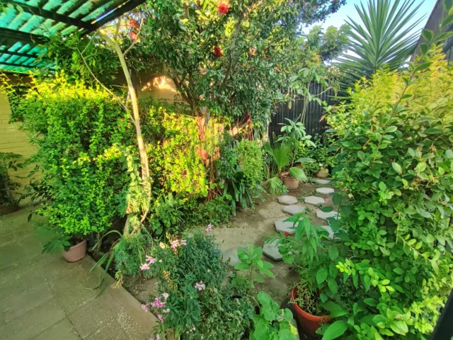 place photo 24