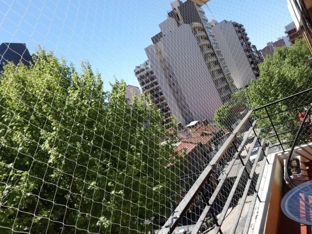 place photo 28