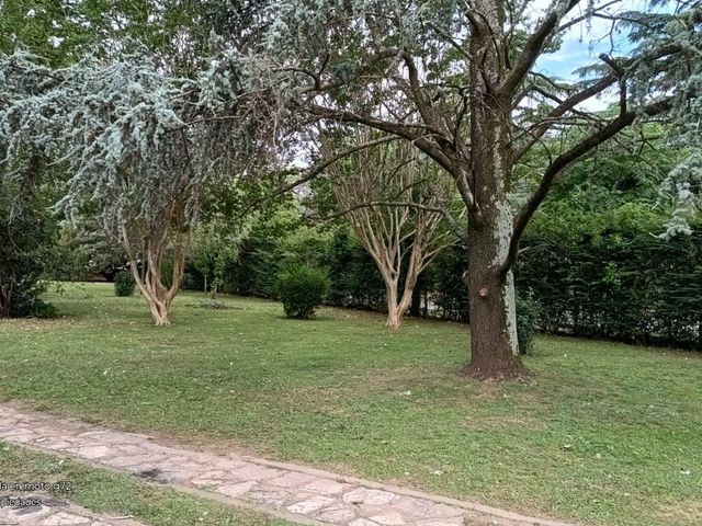 place photo 46