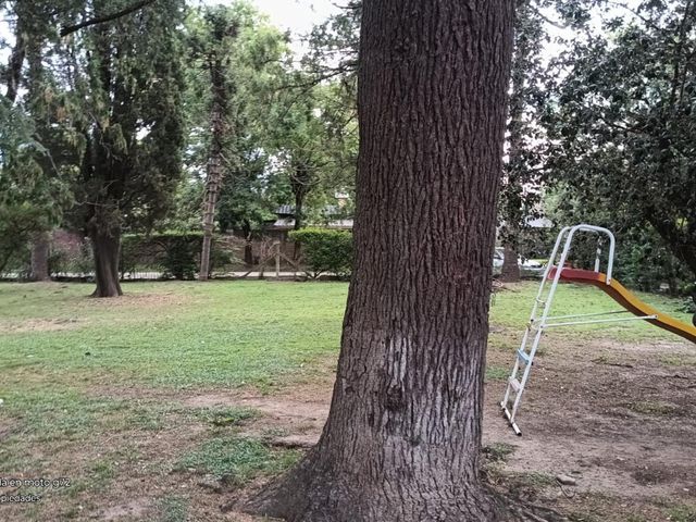 place photo 42