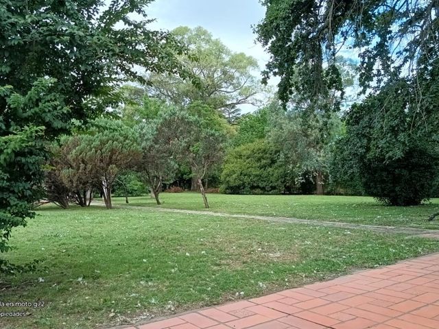place photo 39