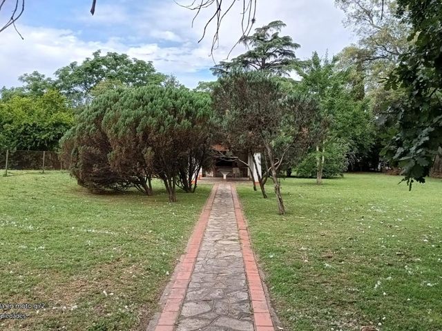place photo 37