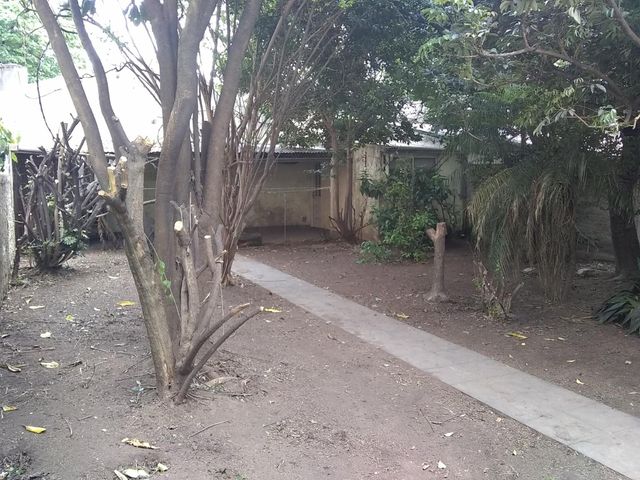 place photo 39
