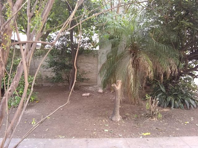 place photo 32