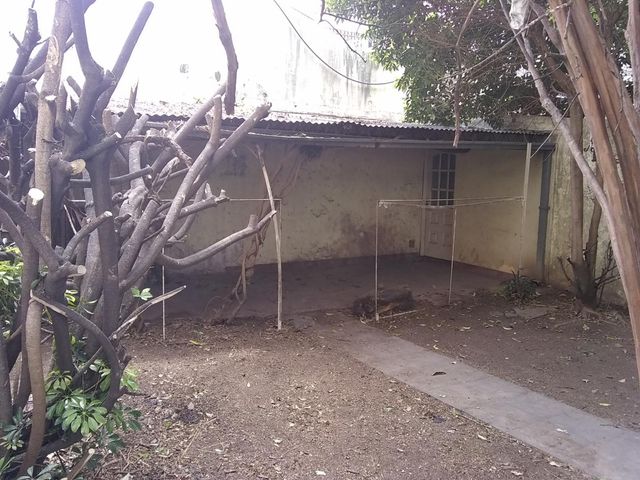place photo 33