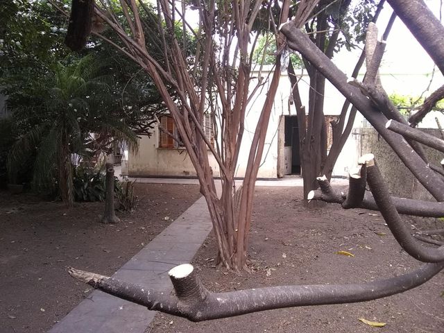 place photo 36