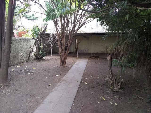 place photo 38