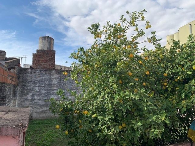 place photo 11