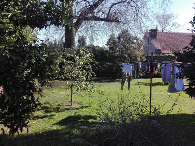 place photo 20