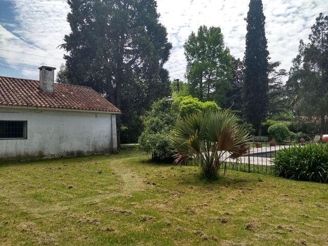 place photo 49