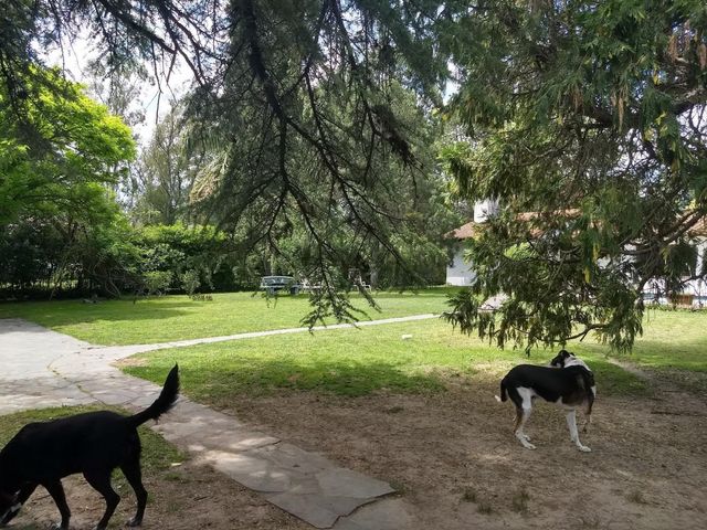 place photo 36