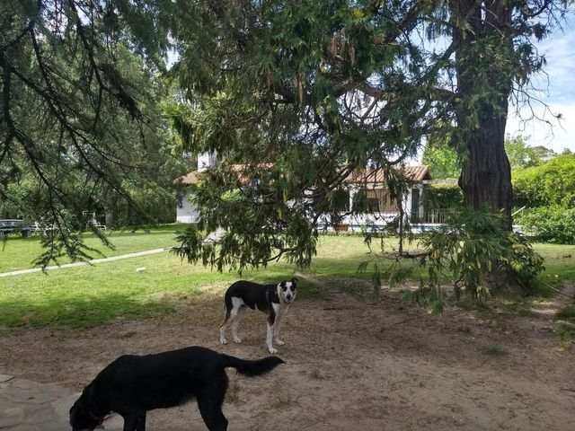 place photo 35