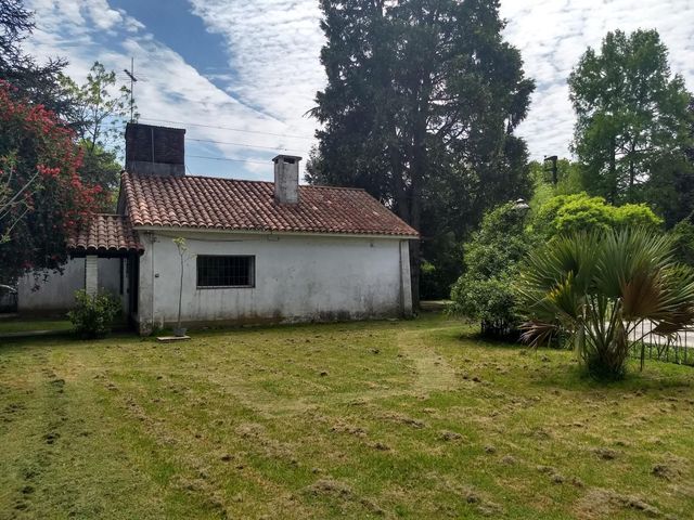 place photo 40