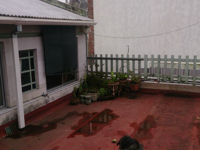 place photo 24