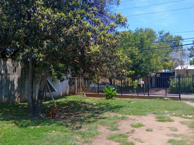 place photo 21