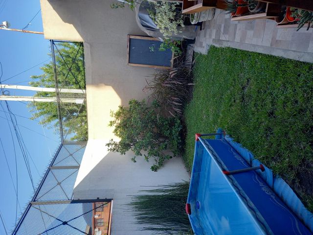 place photo 57
