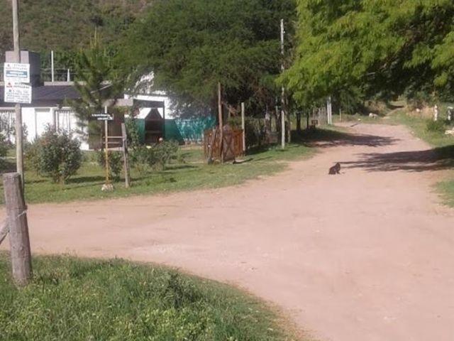 place photo 19