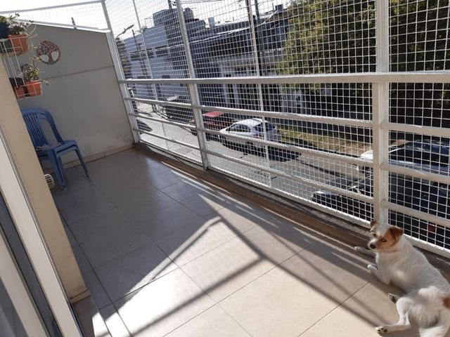 place photo 24